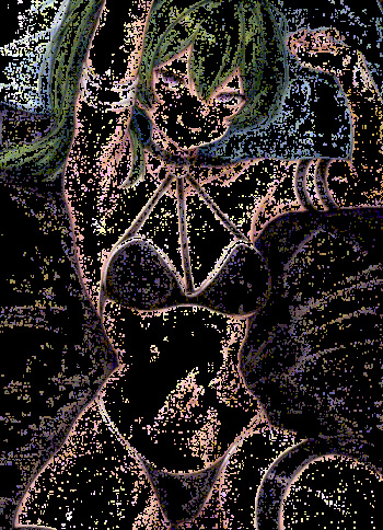 Übel cover