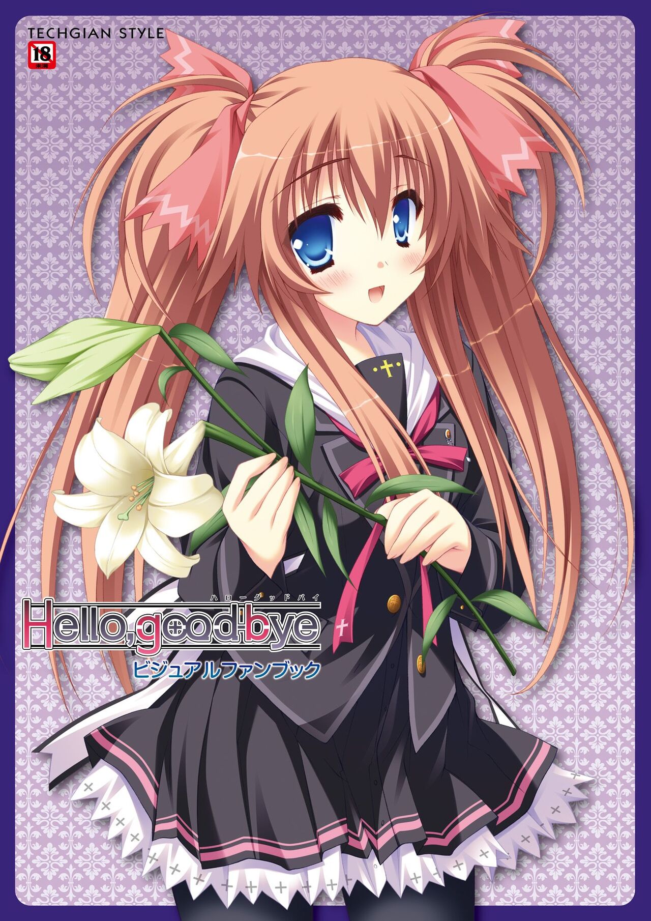 Hello，good-bye VISUAL FANBOOK page 1 full