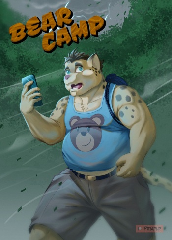 Bear Camp cover