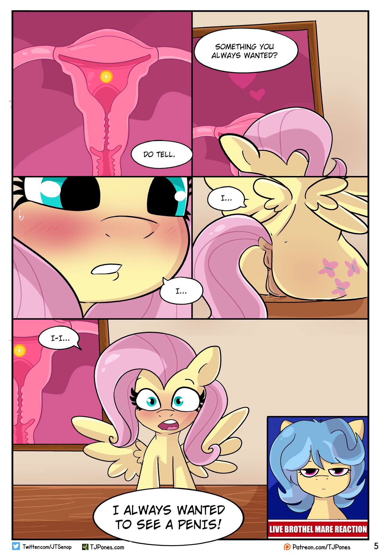 The Birds and the Beaus page 5 full