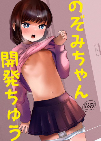 Nozomi-chan Kaihatsuchuu cover