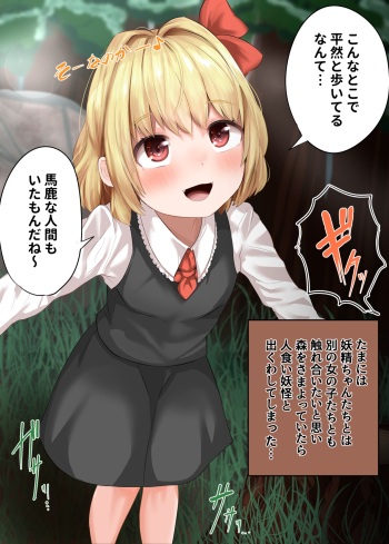 Rumia-chan to Dokidoki Oisha-san Gokko ~ Yoru no Mori de Dokidoki cover