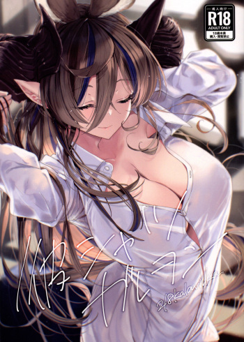 Kare Shirt Galleon cover
