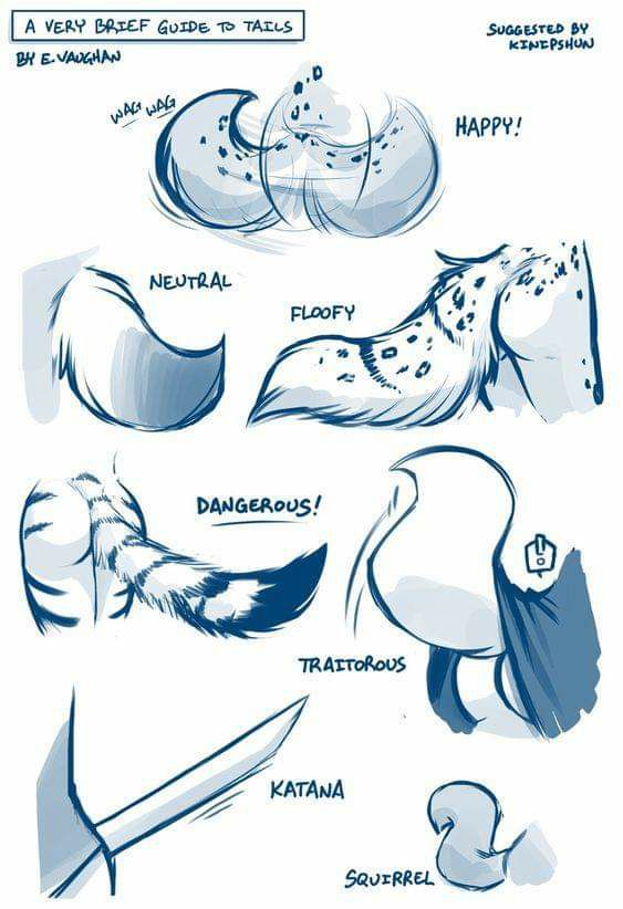 DrQube's folder of random animal and furry anatomy 2d study page 4 full
