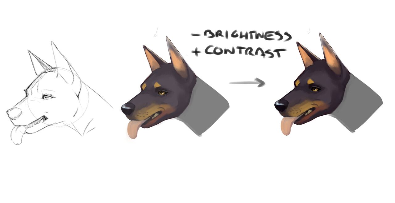 DrQube's folder of random animal and furry anatomy 2d study page 9 full