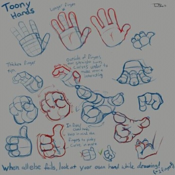 DrQube's folder of random animal and furry anatomy 2d study cover