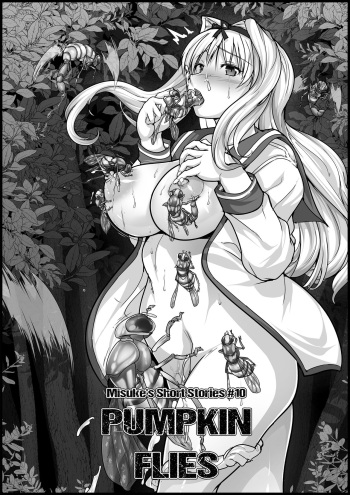 Misuke's Short Stories 10 - Pumpkin Flies cover