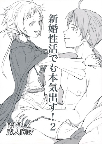 新婚性活でも本気出す2 cover