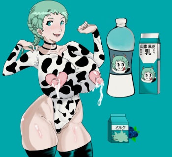Artist - Wankofool cover