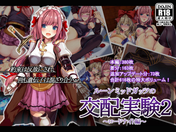 ルーンミッドガッツの交配実験2～ロードナイト編～ cover