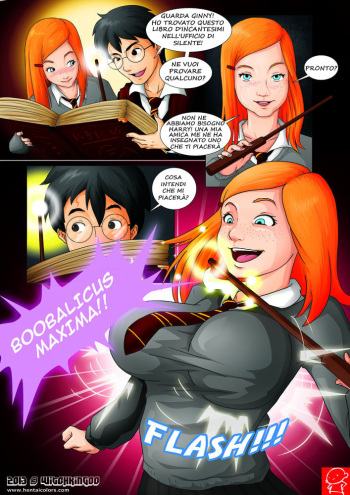 Harry Potter and the Forbidden Spells cover