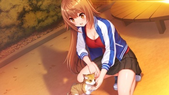 IdolDays cover