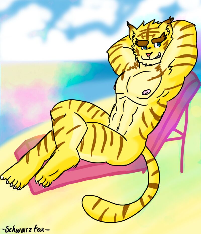 Schwarzfox's Morenatsu Art Collection page 7 full