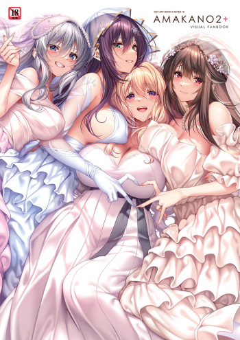 Amakano 2+ Visual Fan Book cover
