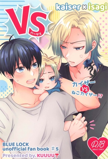 VS cover
