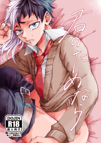 Kimi no tamenara cover