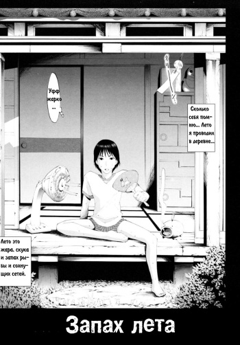 Summer Smells cover