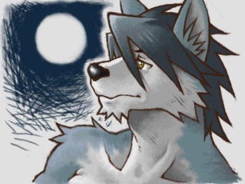 41raco Morenatsu Art Collection cover