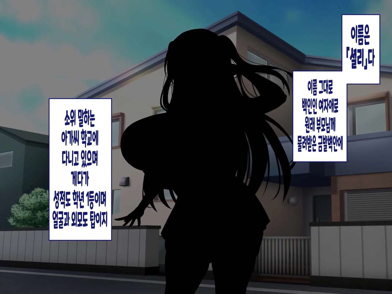 Kinpatsu Hekigan no Gimai ga Namaiki Sugiru node Saimin Sennou Appli de Onaho ni Shiteyatta page 3 full