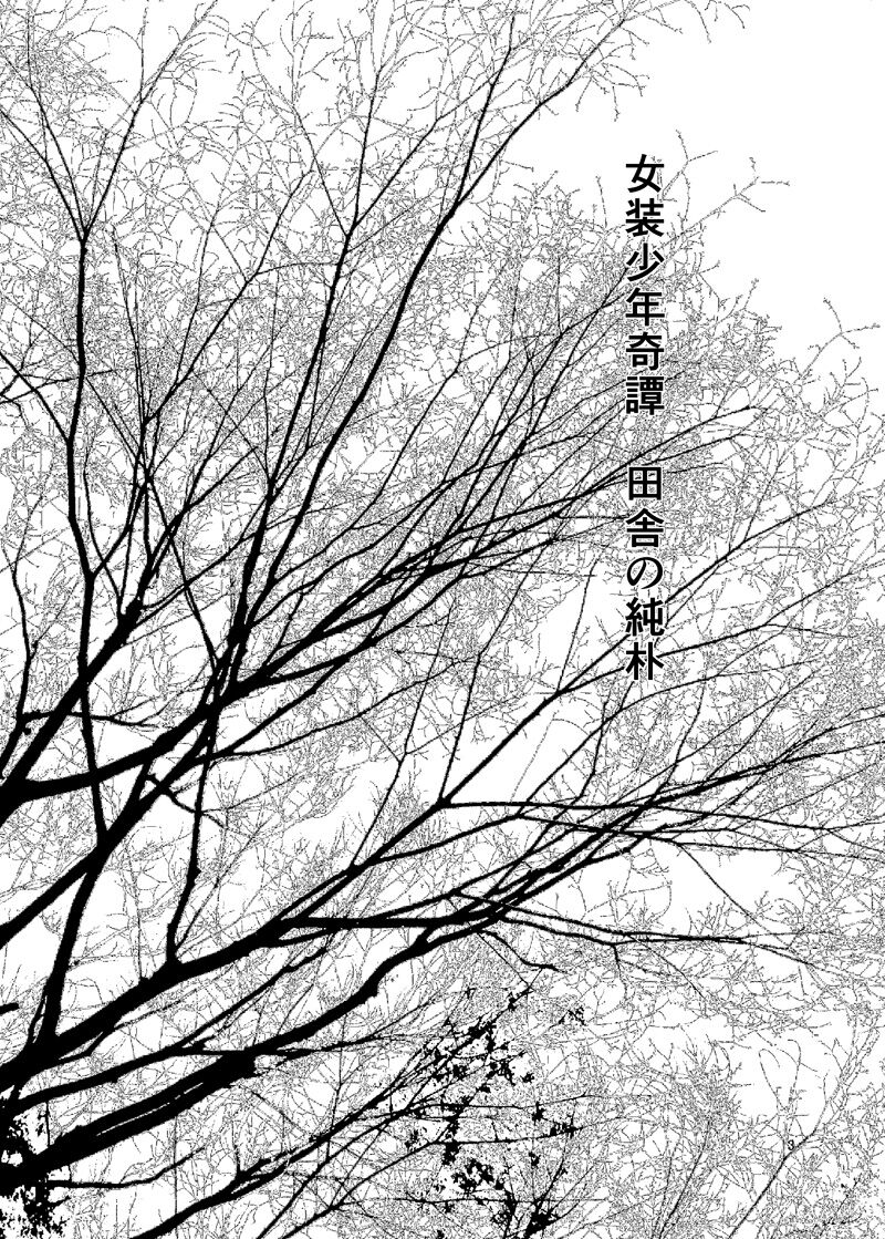 Josou Shounen Kitan Inaka no Junboku page 2 full