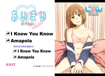 Ai Mai ~Gimic LOw Higashiyama Show~ cover