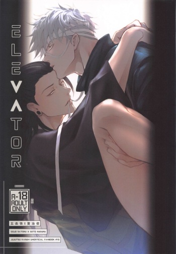 Elevator cover