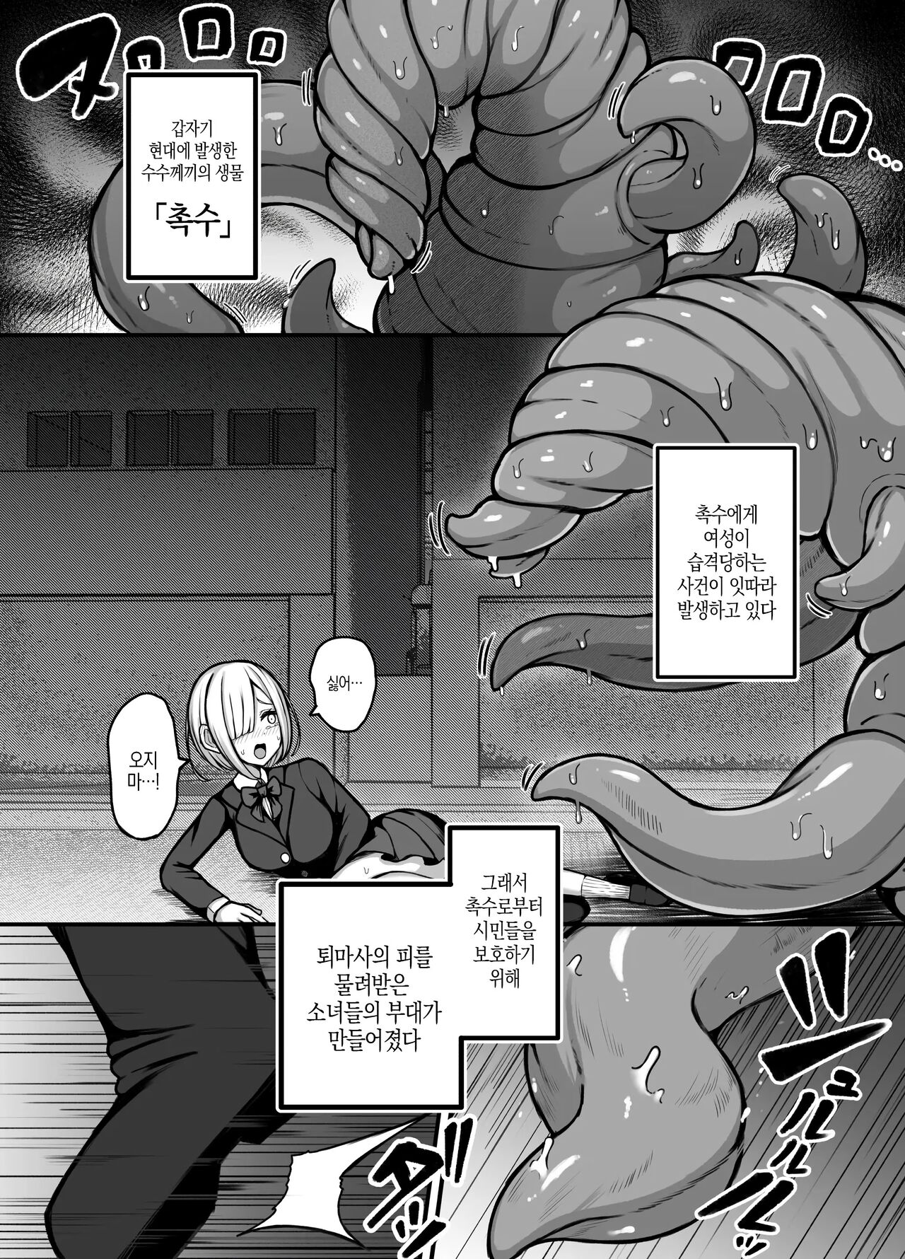 Jikan Sousa Nouryoku o Motsu Taimashi-chan ga Nouryoku o Idenshita Shokushu o Shussan suru Hanashi | 시간조작능력을 가진 퇴마사가 능력을 유전받은 촉수를 출산하는 이야기 page 5 full
