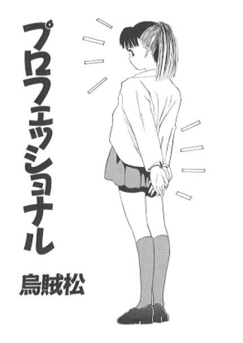 Professional cover