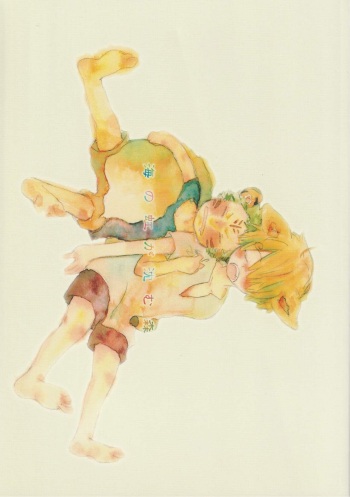 海の虹が沈む森 cover