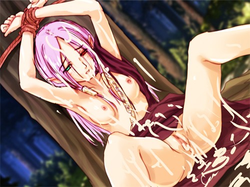 Fire Emblem Binding Blade Images page 6 full