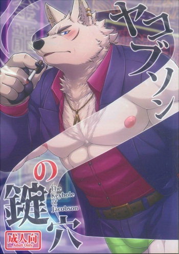 ヤコブソンの鍵穴 cover