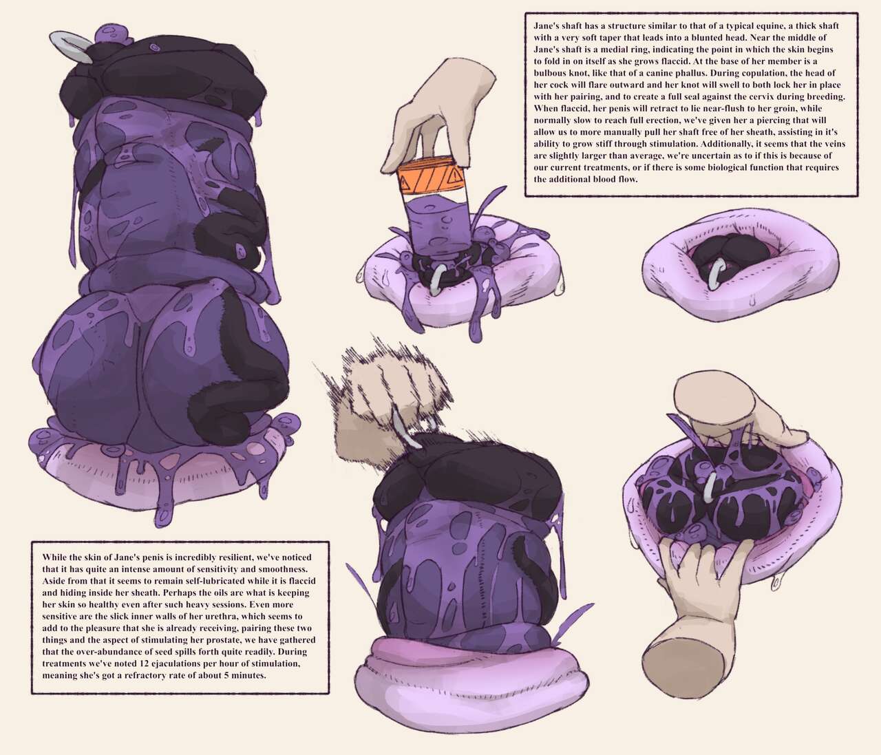 Comission page 4 full