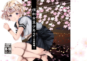 Seido Josou Shounen 2 ~ Kyoudai Kenka ~ cover