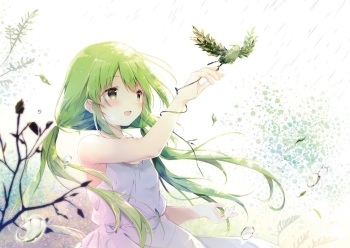 Shiratama cover