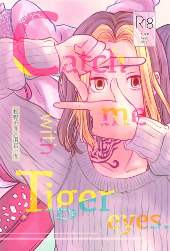 Catch me with Tiger eyes. cover