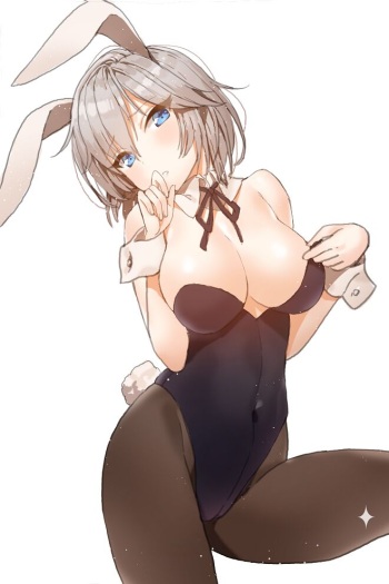my bunny girl collection 2 cover