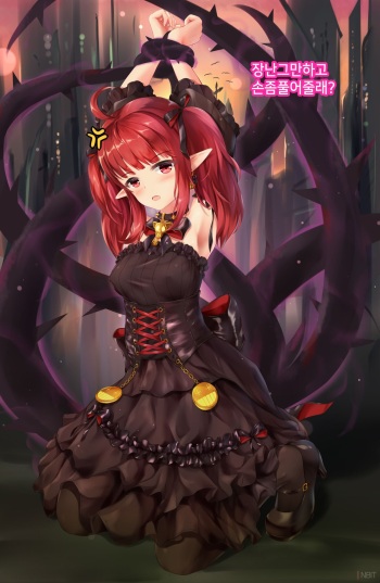 Dnf Enchantress cover
