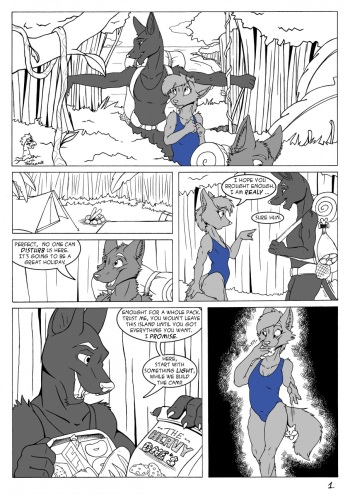 Jungle holidays cover