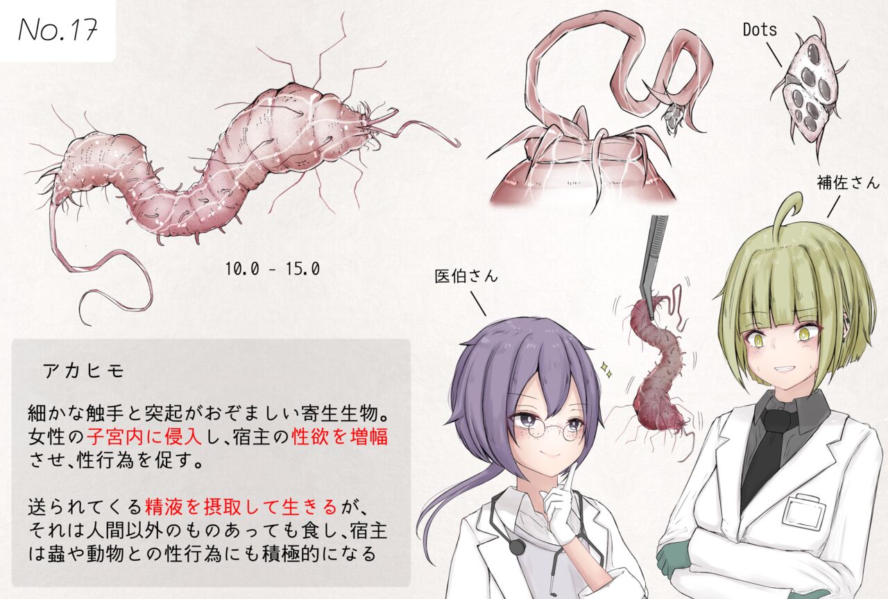 Insect research report No.17 page 1 full