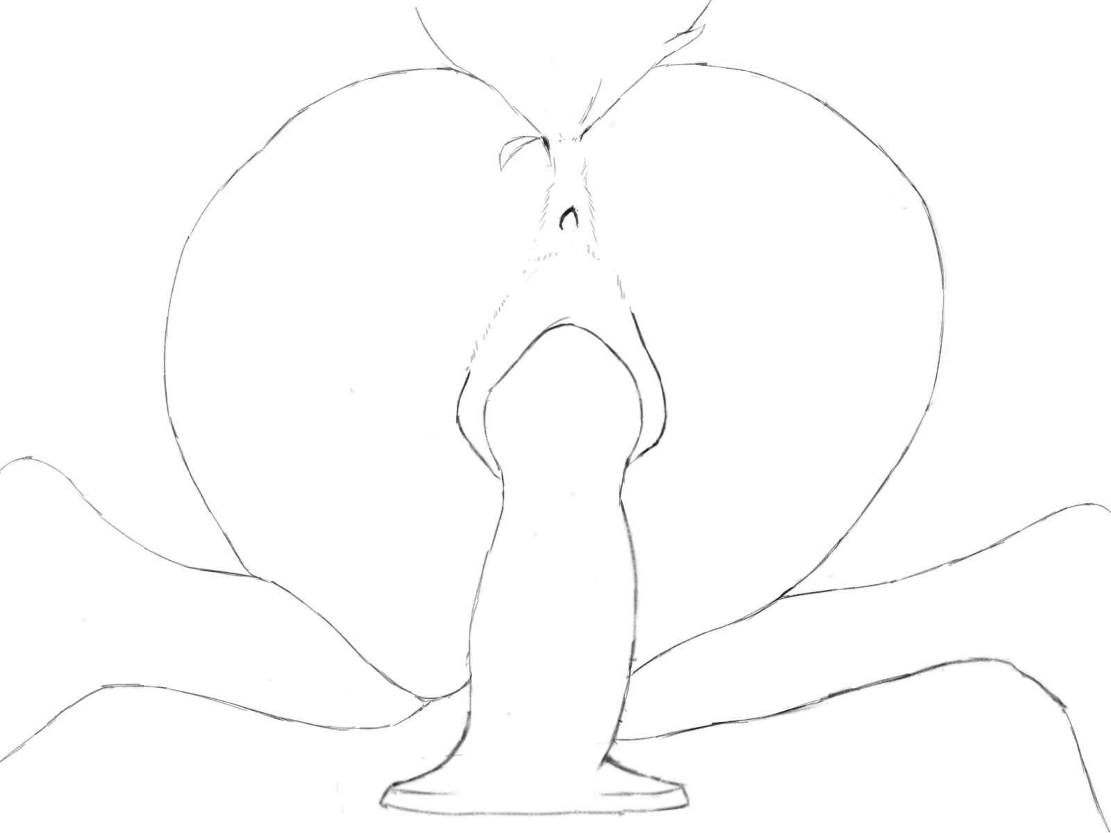 Animation page 4 full