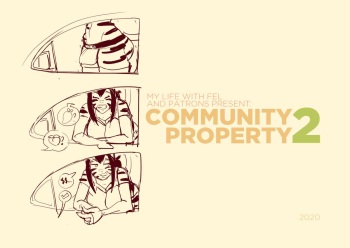 Community Property 2 cover