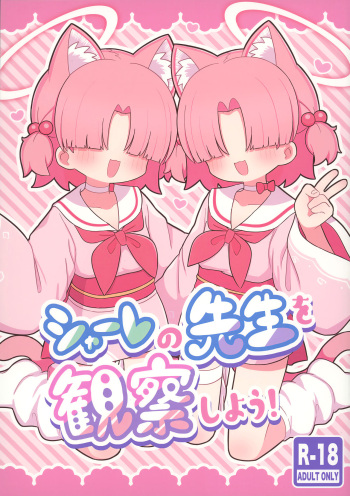 Schale no  Sensei o Kansatsu Shiyou! cover