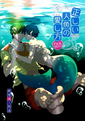 Tadashii Ningyo no Aishikata cover