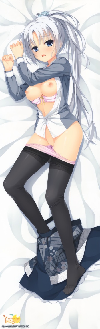 YUZUSOFT dakimakura cover