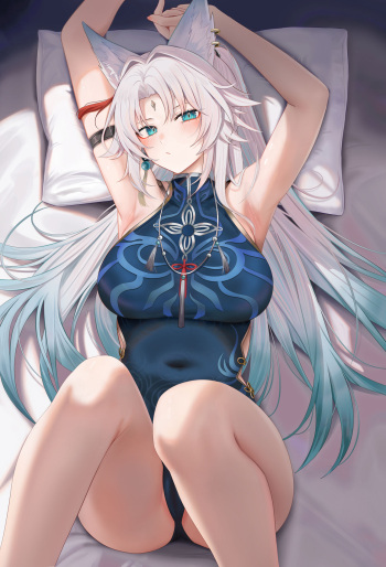 FeiXiao 7P cover