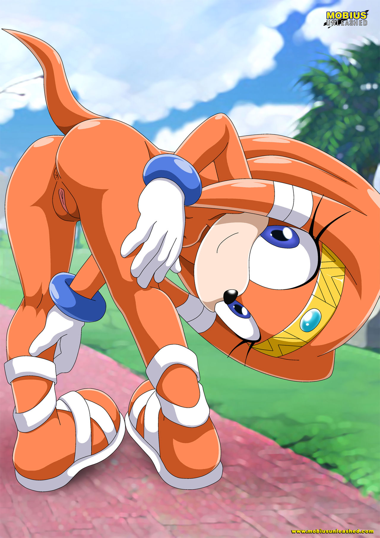 Mobius Unleashed: Tikal the Echidna page 10 full