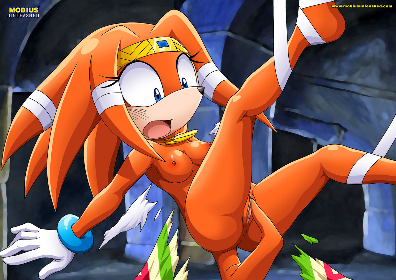 Mobius Unleashed: Tikal the Echidna page 3 full
