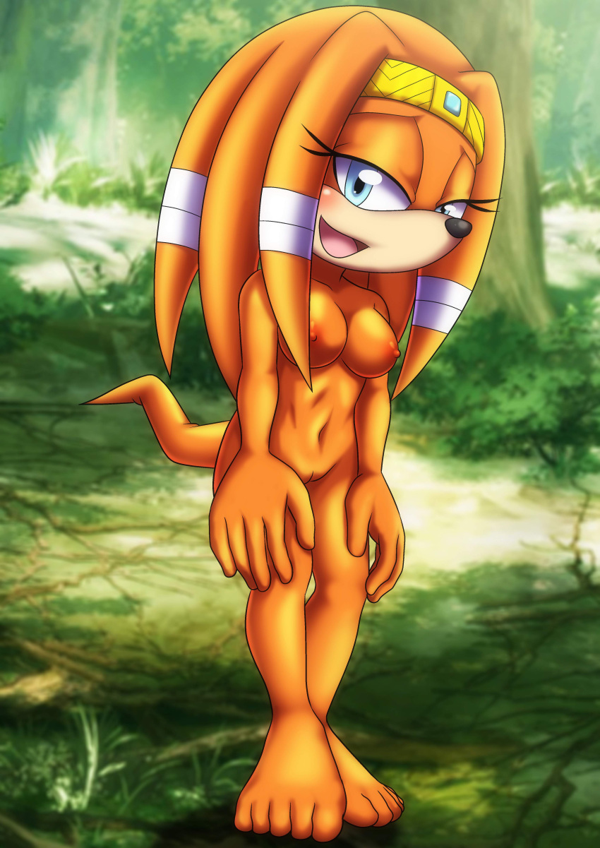 Mobius Unleashed: Tikal the Echidna page 4 full