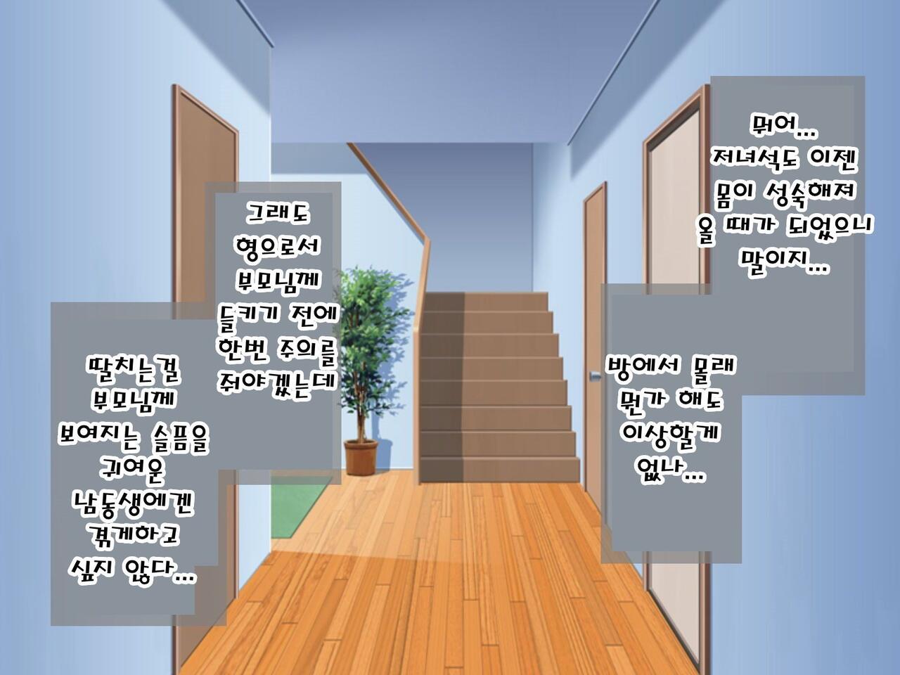 Josou Shumi ni Mezameta Ore no Otouto ga Saikou no Mazo Onaho na Ken | 여장취미에 눈뜬 내동생이 최고의 마조오나홀인 건 page 10 full