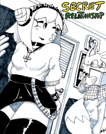 Secret Relationship cover